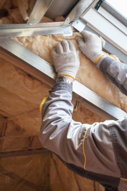 Best Insulation Maintenance and Repair in Hodgenville, KY