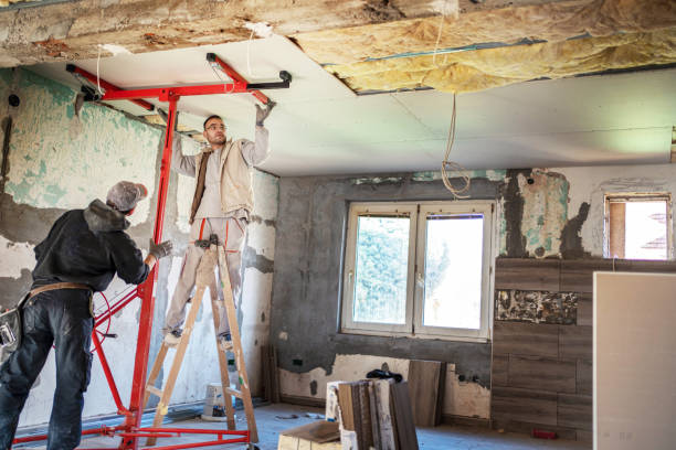 Best Specialized Insulation Services in Hodgenville, KY