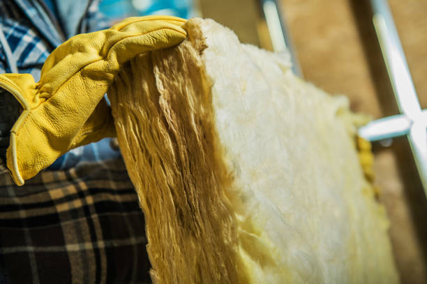 Best Geographic-Specific Insulation Services in Hodgenville, KY