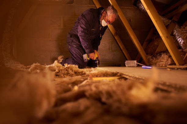Types of Insulation We Offer in Hodgenville, KY