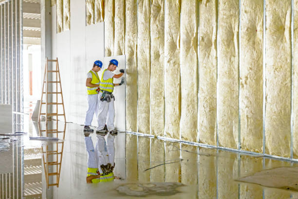 Best Spray Foam Insulation in Hodgenville, KY
